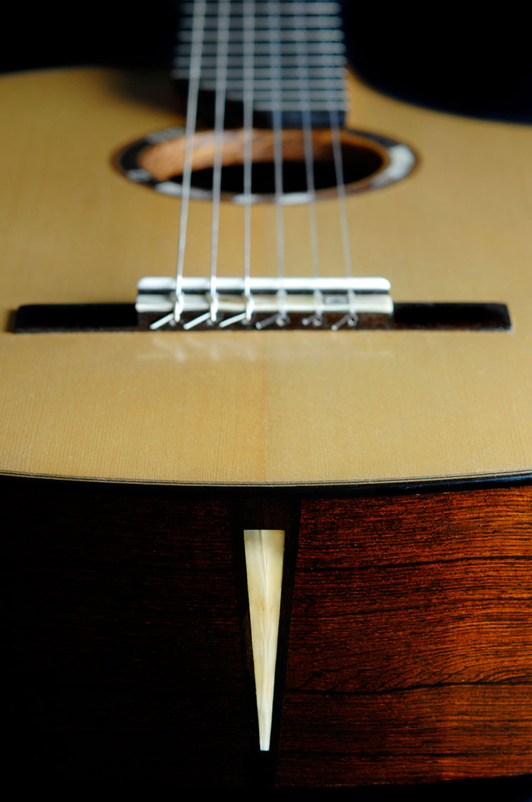 A SERIES Guitar